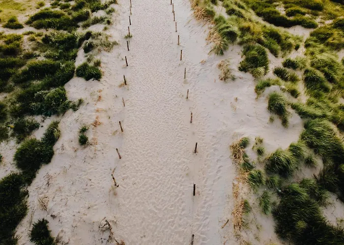 Stek Aan Zee Zandvoort