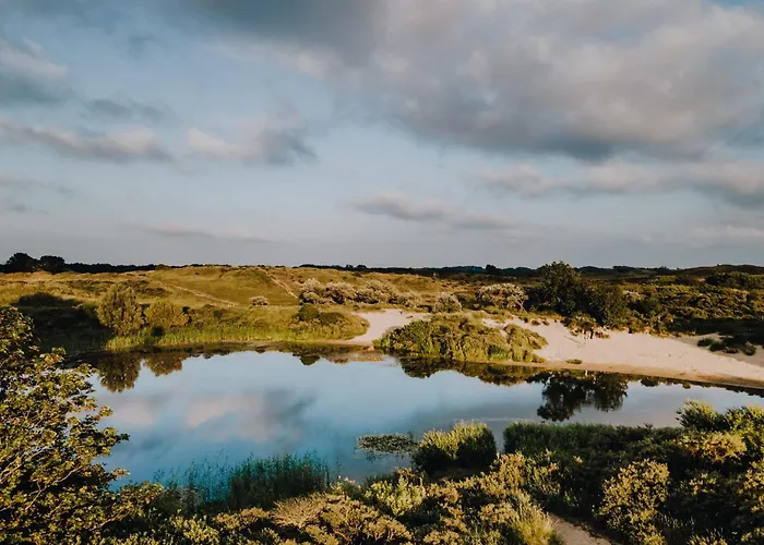 Stek Aan Zee Zandvoort